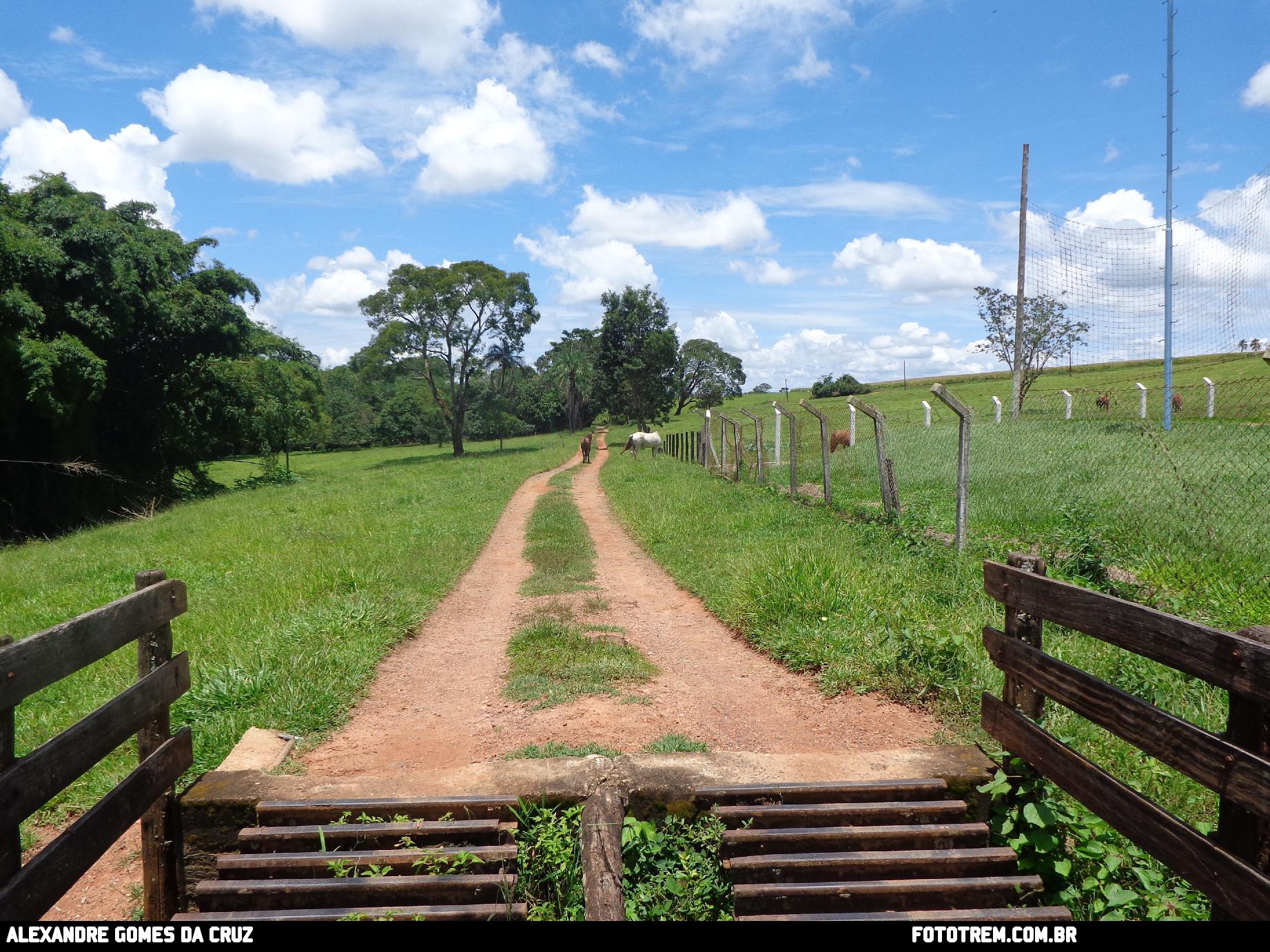 EFG - Estrada de Ferro Goyaz Paisagens Ferroviárias  em Cumari GO 