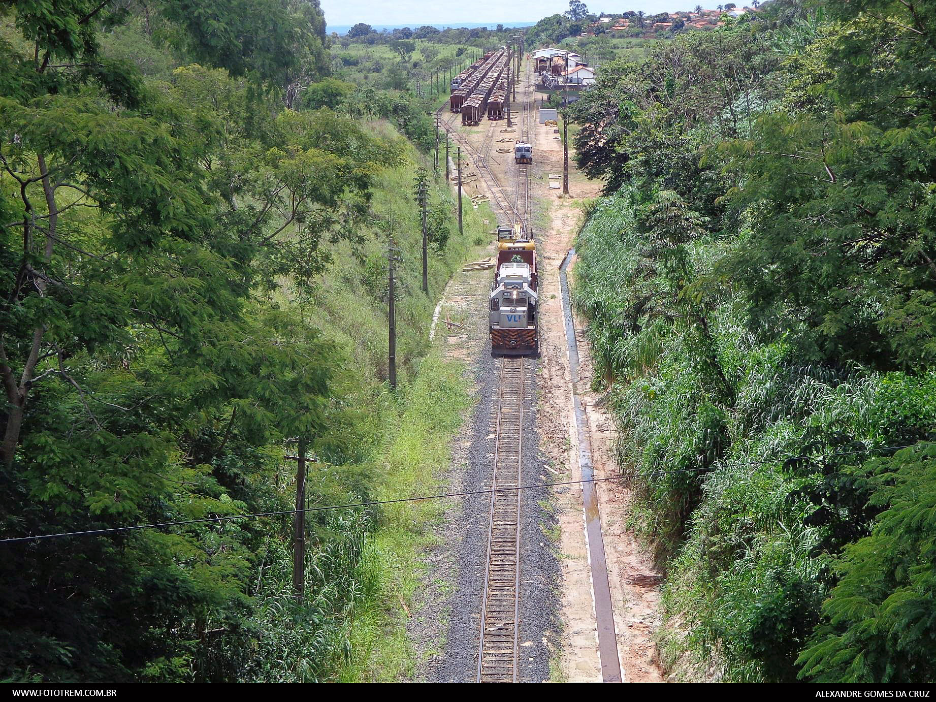 Foto Trem - VLI Pátios Ferroviários  em Goiandira - GO