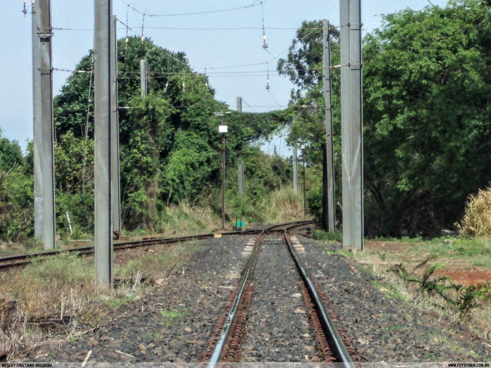 VLI Pátios Ferroviários    em Casa Branca - SP
